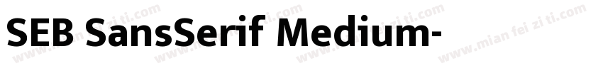 SEB SansSerif Medium字体转换